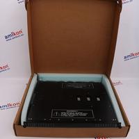 TRICONEX 4200 Distributed Control System (DCS)  | sales2@amikon.cn 